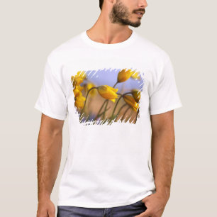 Nahaufnahme der Narzissen T-Shirt