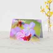 Nahaufnahme der rosa Sakura Kirschblüten Karte (Gelbe Blume)