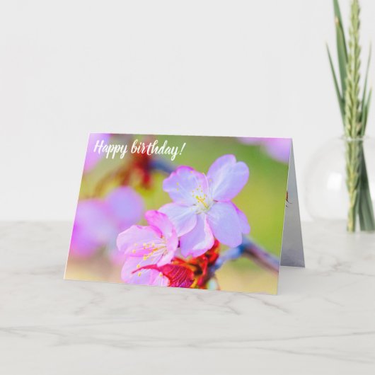 Nahaufnahme der rosa Sakura Kirschblüten Karte (Vorderseite)