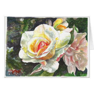Nahaufnahme der Rosen