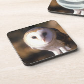 'Nahaufnahme der Schleiereule, Land zwischen Seen, Untersetzer (Linke Seite)