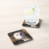 'Nahaufnahme der Schleiereule, Land zwischen Seen, Untersetzer (Rechte Seite)