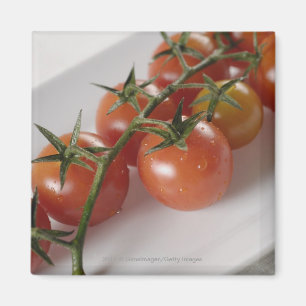 Nahaufnahme der Tomaten auf einem Behälter Magnet