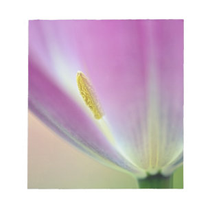 Nahaufnahme der Unterseite einer Tulpenblüte, Kuek Notizblock