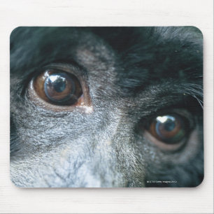 Nahaufnahme des Affen Mousepad