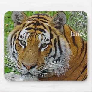 Nahaufnahme des Gesichts eines Sibirischen Tigers Mousepad