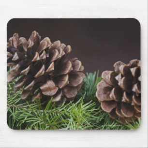 Nahaufnahme des Kiefernkegels Mousepad