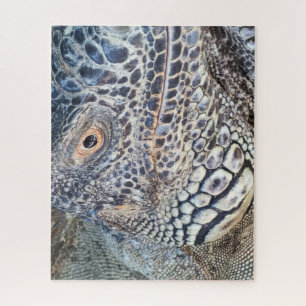 Nahaufnahme des Kopfes eines grünen Leguans. Herau Puzzle