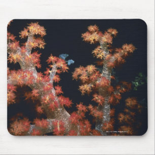 Nahaufnahme des orange weichen korallenroten mousepad