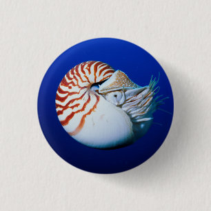 Nahaufnahme des Perlbootes Button