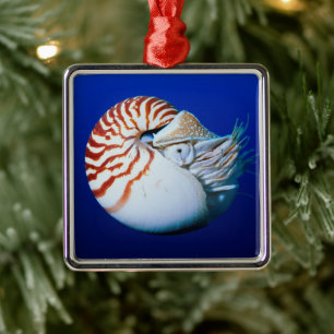 Nahaufnahme des Perlbootes Ornament Aus Metall
