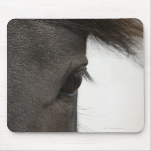 Nahaufnahme des Pferdeauges und -haares Mousepad