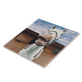 Nahaufnahme des Pferds mit dem Mund offen Fliese (Seite)