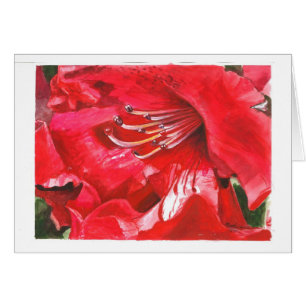 Nahaufnahme des Rhododendrons