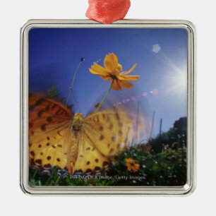 Nahaufnahme des Schmetterlinges, Flügel flatternd Ornament Aus Metall