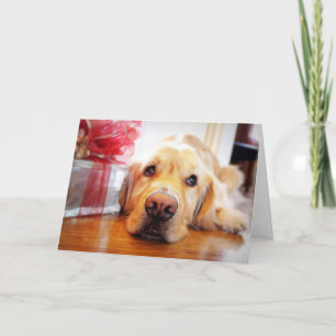 Nahaufnahme des wehmütigen golden retrieverhundes feiertagskarte