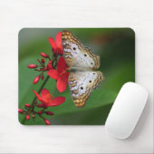 Nahaufnahme des weißen Schmetterlinges Mousepad (Mit Mouse)