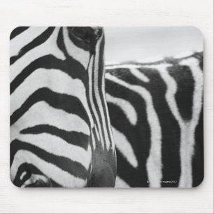 Nahaufnahme des Zebragesichtes und -schulter Mousepad