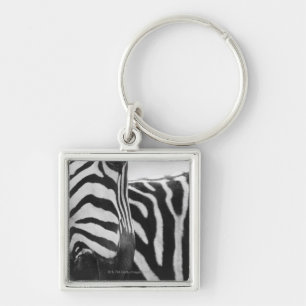 Nahaufnahme des Zebragesichtes und -schulter Schlüsselanhänger