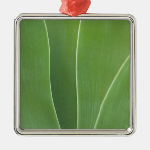 Nahaufnahme einer Agave Ornament Aus Metall