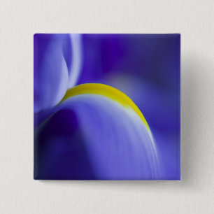 Nahaufnahme einer Blaue Schwertlilie. Button