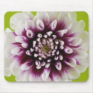 Nahaufnahme einer Blume 2 Mousepad