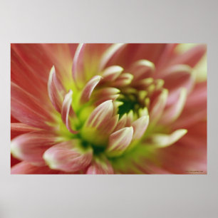 Nahaufnahme einer Blume 2 Poster