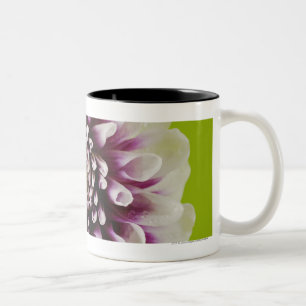 Nahaufnahme einer Blume 2 Zweifarbige Tasse