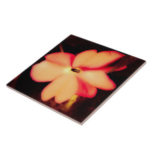 Nahaufnahme einer Blume in Pfirsich Fliese