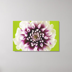 Nahaufnahme einer Blume Leinwanddruck