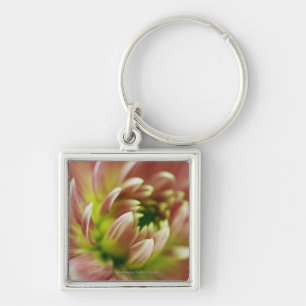 Nahaufnahme einer Blume Schlüsselanhänger