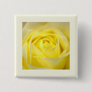 Nahaufnahme einer gelben Rose Button