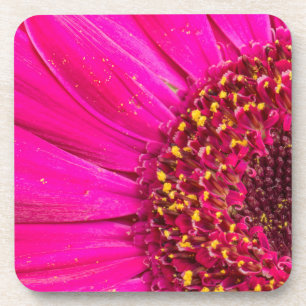 Nahaufnahme einer Gerbera-Margerite Getränkeuntersetzer