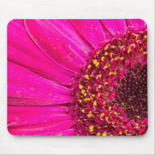 Nahaufnahme einer Gerbera-Margerite Mousepad