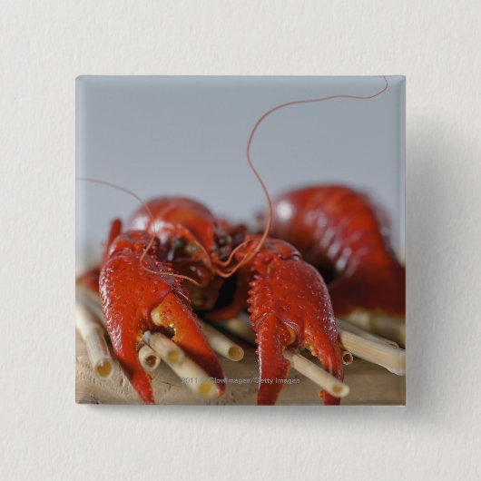 Nahaufnahme einer Krabbe auf Stöcken Button (Vorderseite)