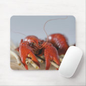 Nahaufnahme einer Krabbe auf Stöcken Mousepad (Mit Mouse)