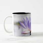 Nahaufnahme einer lila Wasser-Lilie, die an Zweifarbige Tasse (Links)