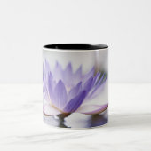 Nahaufnahme einer lila Wasser-Lilie, die an Zweifarbige Tasse (Mittel)