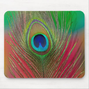 Nahaufnahme einer Pfauenfeder Mousepad