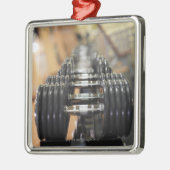 Nahaufnahme einer Reihe von Dumbbells Silbernes Ornament (Links)
