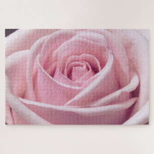 Nahaufnahme einer rosa Rose Puzzle
