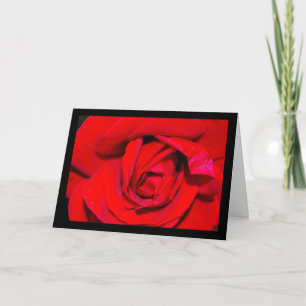 Nahaufnahme einer roten Rose Karte