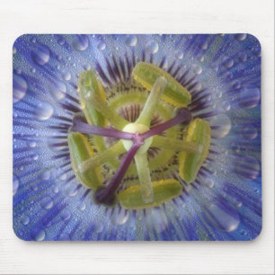 Nahaufnahme einer taufeuchten Passionsblume. Credi Mousepad
