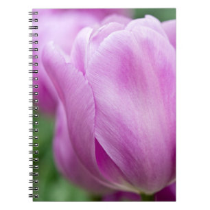 Nahaufnahme einer Tulpe Notizblock
