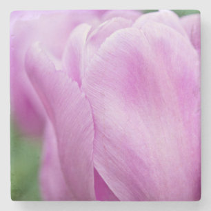 Nahaufnahme einer Tulpe Steinuntersetzer