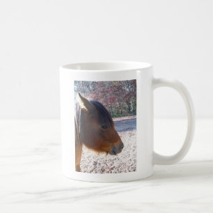 Nahaufnahme eines braunen Pferdes, kleines braunes Kaffeetasse