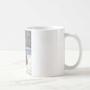 Nahaufnahme eines braunen Pferdes, kleines braunes Kaffeetasse