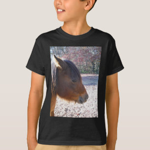 Nahaufnahme eines braunen Pferdes, kleines braunes T-Shirt