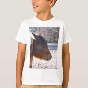 Nahaufnahme eines braunen Pferdes, kleines braunes T-Shirt