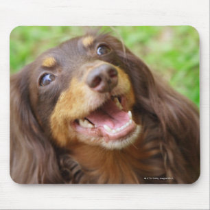 Nahaufnahme eines Dackelhundes Mousepad